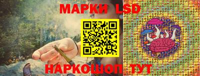 apvp Краснознаменск