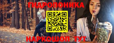 apvp Краснознаменск