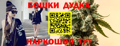apvp Краснознаменск