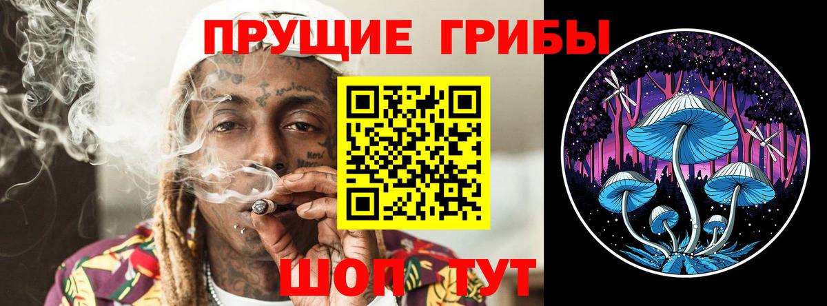 Галлюциногенные грибы Psilocybe Кировск