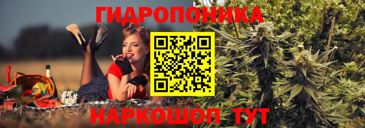 Каннабис конопля  Шишки марихуана план  Кировск  Вход с VPN 